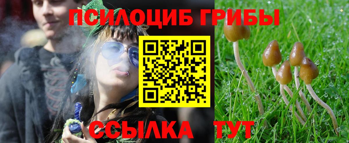 Псилоцибиновые грибы Psilocybe  Галлюциногенные грибы Psilocybe  Вход с VPN  продажа наркотиков  Анжеро-Судженск 